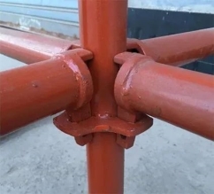10005